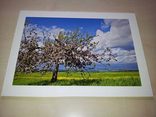 Foto_weisser_Rahmen-500×375.jpg Foto_weisser_Rahmen-500x375.jpg